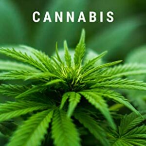 Cannabis : de son histoire à sa légalisation (French Edition)