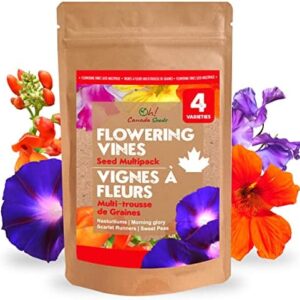 Climbing Flower Seeds - Morning Glory, Scarlet Runner, Sweet Pea, Nasturtium - 4 Flower Garden Seed Packets Variety Pack - Flowering Vines Flower Seeds for Planting Canada
